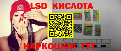 прущие грибы Славгород
