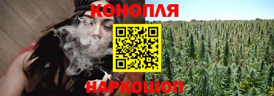 прущие грибы Славгород