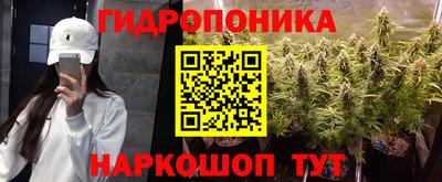 прущие грибы Славгород