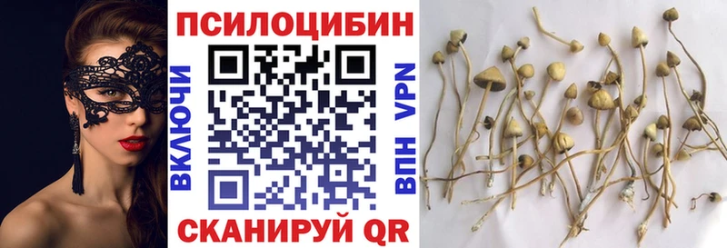 Галлюциногенные грибы GOLDEN TEACHER Барнаул