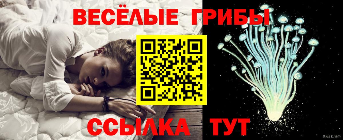 Кокаин  МДМА  Alpha-PVP СК кристаллы  ГАШИШ  МАРИХУАНА  Метамфетамин  Экстази  Барнаул  Вход с VPN  Меф МЯУ МЯУ кристаллы 