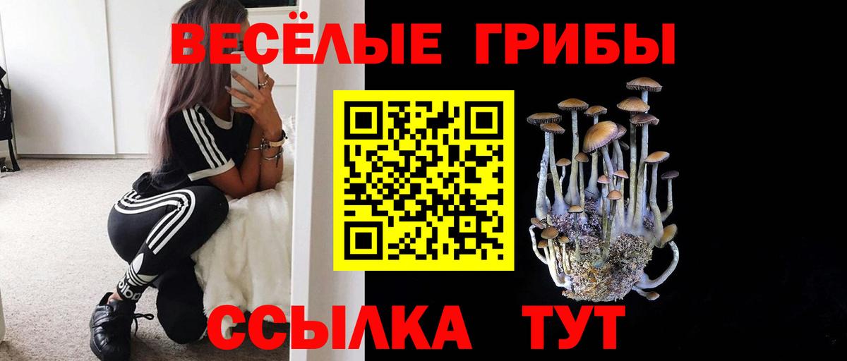 Галлюциногенные грибы Psilocybe Барнаул